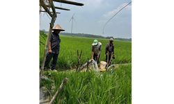 Kementan Gencarkan Pompanisasi, Pastikan Pompa Berhasil Nyala Mengairi Sawah