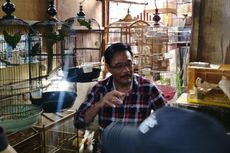 Djarot Akan Tugaskan PD Pasar Jaya Revitalisasi Pasar Burung Pramuka