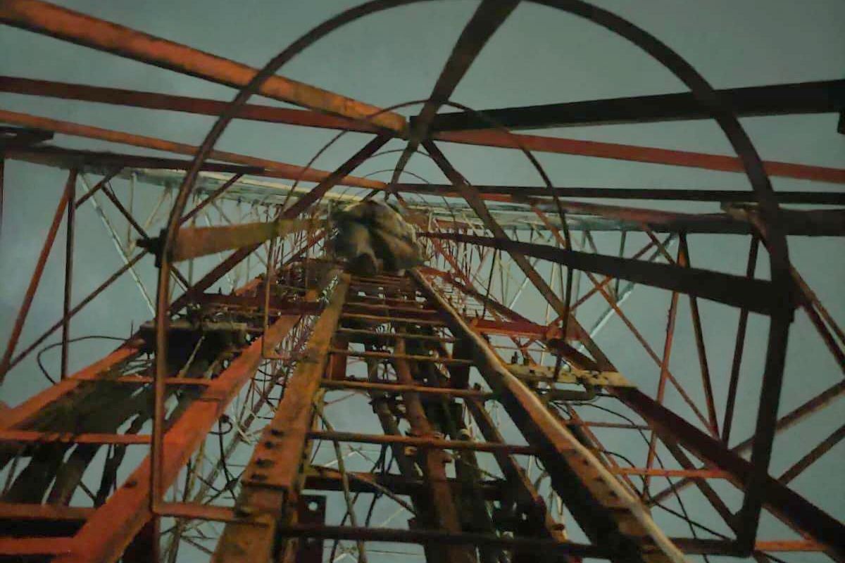 Petugas damkar melakukan penyelamatan di tower, Rabu (12/2/2025) 