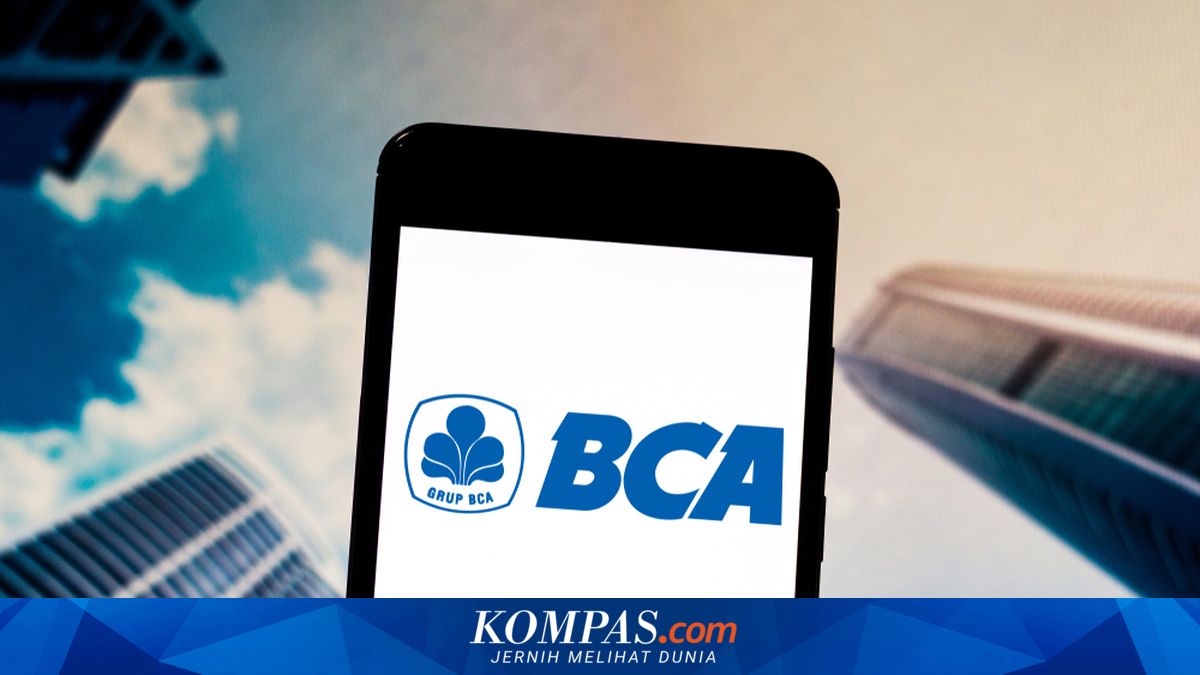 OJK says it would assess risks if control of BCA changed