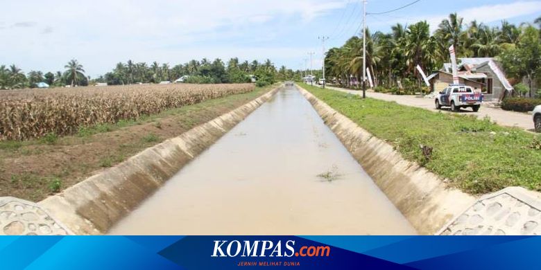 Rehabilitasi Irigasi Harapan Petani Bertahan Di Musim Kemarau Halaman All Kompas Com