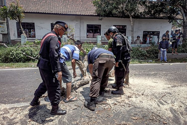 Sejumlah petugas mengevakuasi material pohon tumbang di Jalan Raya Tangkuban Parahu, Bandung Barat, Senin (16/10/2023).