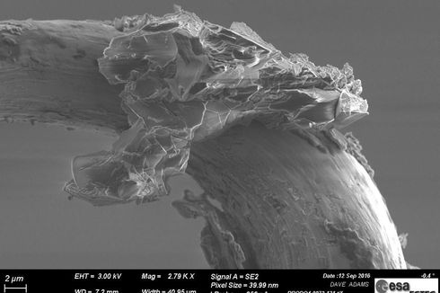 Begini Bentuk Debu Asteroid Jika Dilihat Dengan Mikroskop