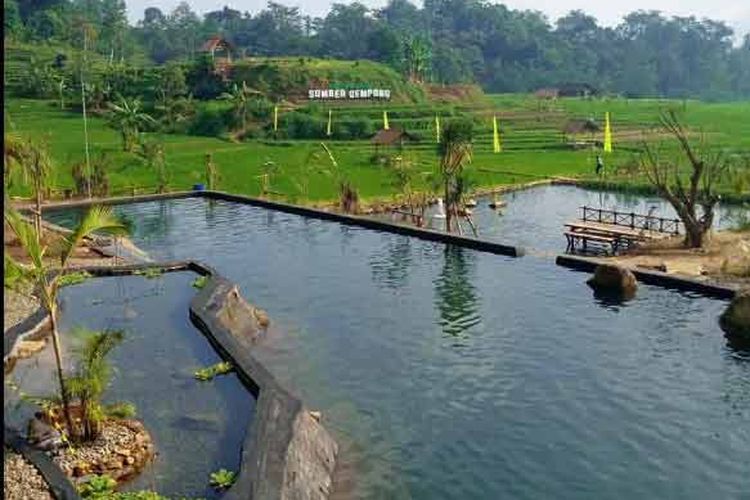 Sumber mata air alami yang tidak pernah kering di Wisata Sawah Sumber Gempong Mojokerto
