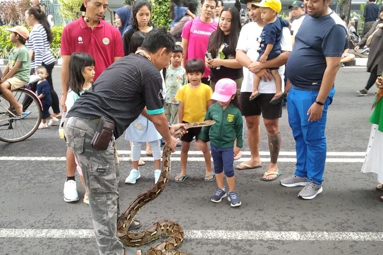 Beberapa pengunjung yang berinteraksi dengan Laksmi, sang ular sanca kembang saat di Car Free Day (CFD) Jalan Raya Darmo Surabaya, Minggu (1/6/2025).