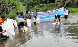 Konservasi Sungai Garoga, Lubuk Larangan Diperluas hingga 8 Kilometer