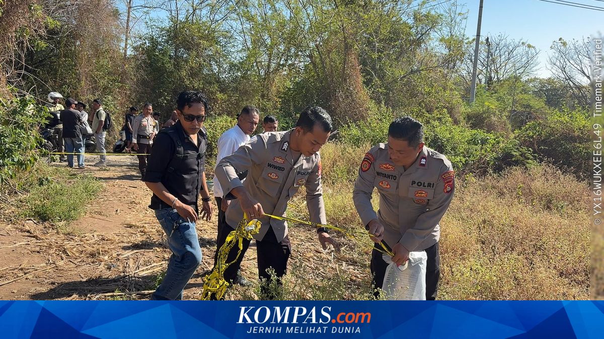 Penemuan Mayat Bayi di Ladang Jagung Hebohkan Warga Sumbawa