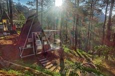 Menginap di Tengah Hutan Pinus, Locca Lodge Trawas Mojokerto