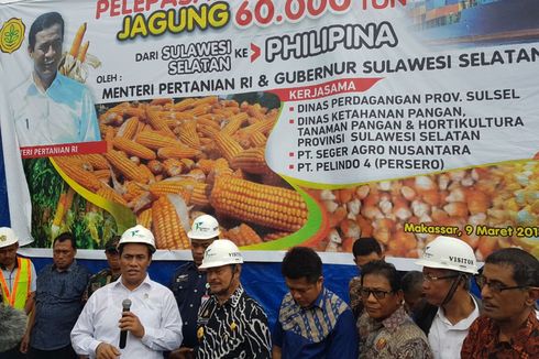 Selain Sulsel, Ekspor Jagung Indonesia Berasal dari Dua Provinsi Ini