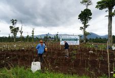 Pemprov Jabar Revitalisasi 22 Hektare Kebun Teh di Ciater dan Pangalengan