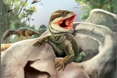 Fosil Reptil Modern Nenek Moyang Kadal Ditemukan, Seperti Apa?