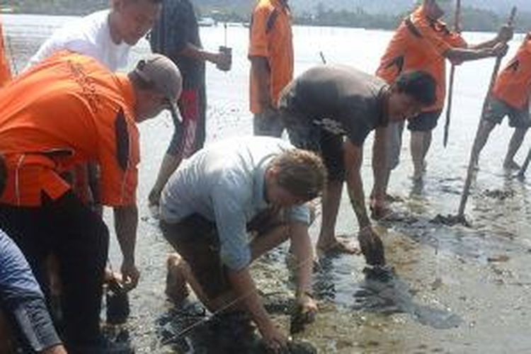 Wisatawan yang dipandu kelompok penyelamat pesisir melakukan penanaman mangrove di Pesisir Kekatang, Kabupaten Pesawaran Lampung.