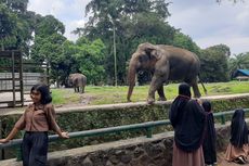 Tempat Beli JakCard, Kartu untuk Masuk Kebun Binatang Ragunan