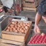 Harga Telur di Kota Yogyakarta Meroket Jadi Rp 31.000 Per Kilogram, Apa Penyebabnya?