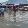 Bangkai Paus Sepanjang 24 Meter Terdampar di Alor, Dipotong dan Dimakan Dagingnya oleh Warga