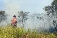 Kobaran Api Lalap 1 Hektar Lahan di Natuna