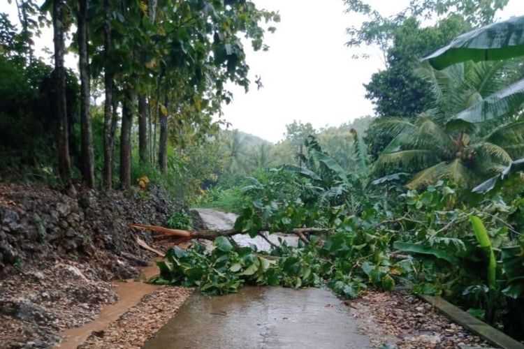 Lokasi dahan pohon jati yang patah teraliri listrik menimpa Nenek Pariyem (71), warga Desa Song Gledek, Kecamatan Paranggupito, Senin (8/2/2021). 