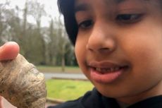 Bocah 6 Tahun Temukan Fosil Saat Inggris Masih Tenggelam, Begini Bentuknya...