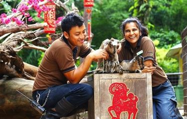 Lirik dan Chord Anak Kambing Saya, Lagu Anak-anak Populer