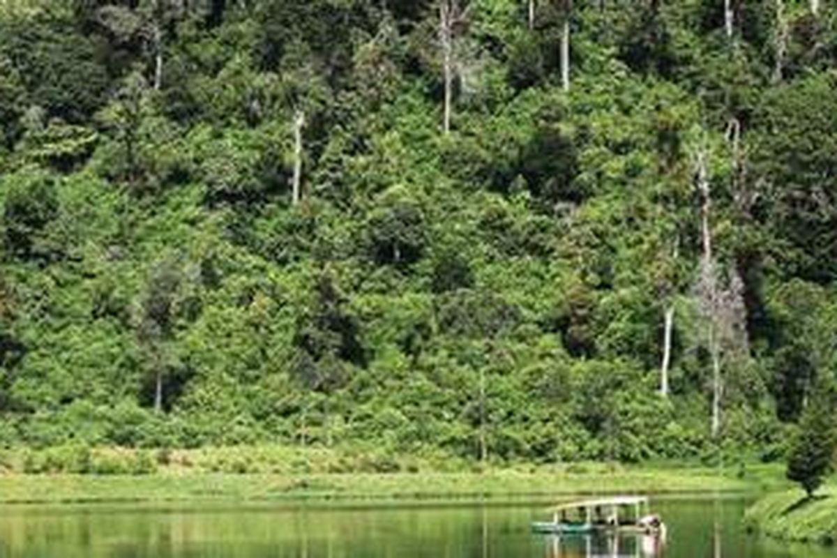 Warga mencari lumut untuk umpan memancing ikan di Situ Cisanti, Kecamatan Kertasari, Kabupaten Bandung, Jawa Barat, Selasa (22/3). Situ di Kaki Gunung Wayang Windu, Bandung Selatan, tersebut menampung air dari beberapa sumber mata air yang bermuara di aliran Sungai Citarum