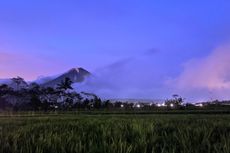 Dalam 6 Hari, Gunung Semeru Alami 464 Letusan