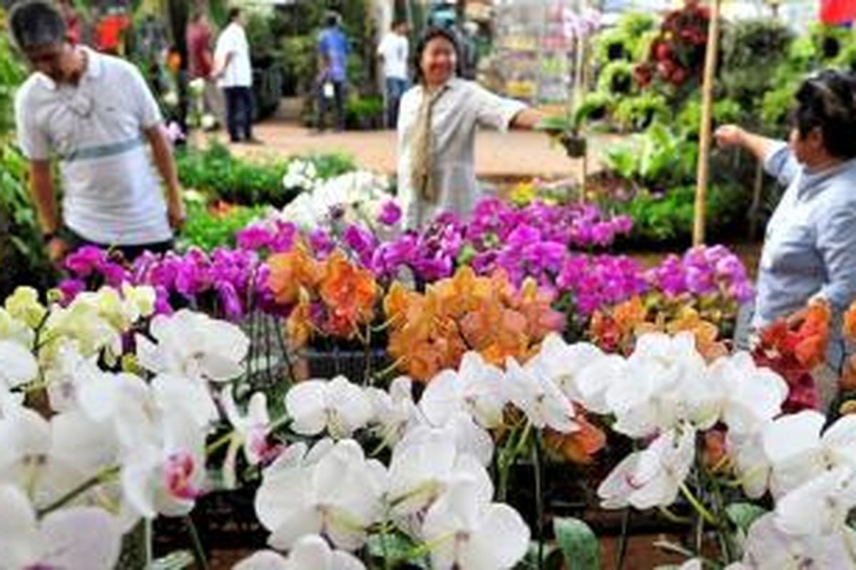 Beragam jenis anggrek dihadirkan salah satu stan saat pembukaan Pameran Flora dan Fauna (Flona) 2015 di Lapangan Banteng, Jakarta Pusat, Jumat (18/9). Pameran Flona akan berlangsung selama satu bulan. Warga dapat memanfaatkan pameran ini sebagai sarana rekreasi dan edukasi, terutama mengenai kepedulian terhadap lingkungan.