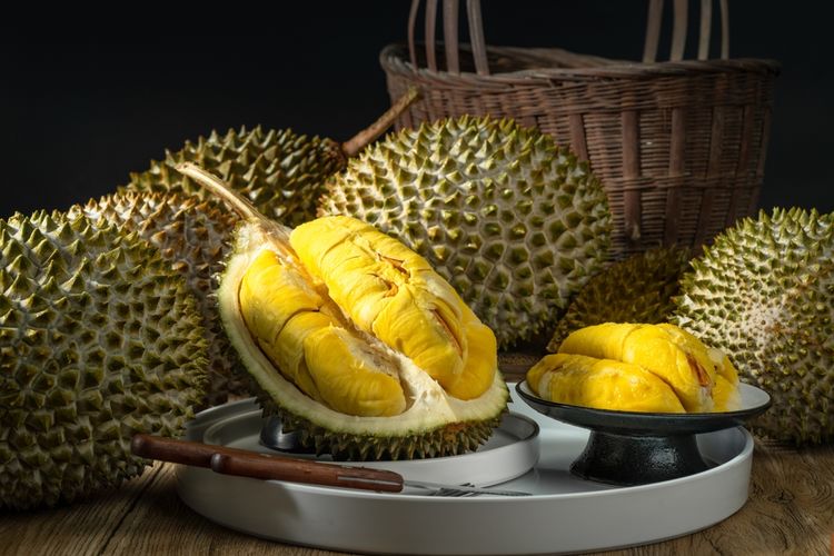 Ilustrasi durian musang king dengan warna buah kuning kunyit. 