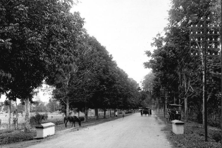 Jalan utama antara Ampenan dan Mataram di Pulau Lombok. Foto diambil sekitar tahun 1925.