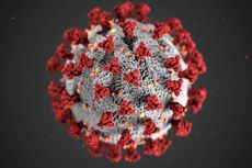 Virus Corona Disebut Bermutasi dan Lebih Mudah Menular