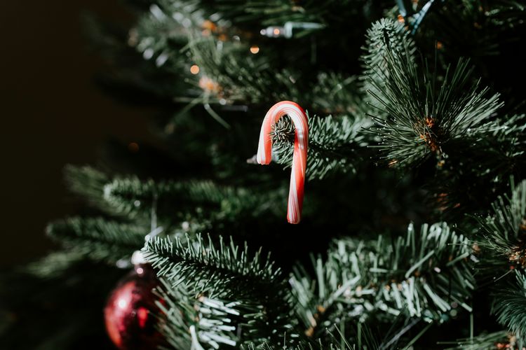 Illustration of a candy cane as a Christmas tree decoration.