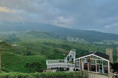 Kemuning Sky Hills, Wisata Jembatan Kaca di Atas Hamparan Kebun Teh 