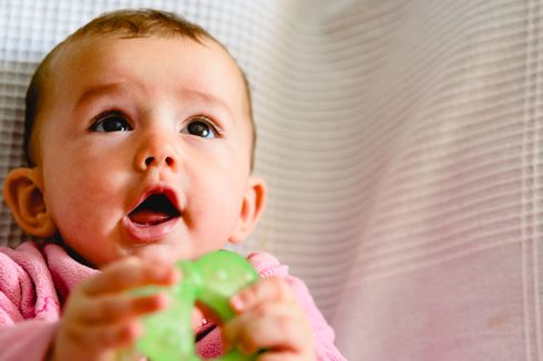 Siapkan Anak Sehat dari Ibu yang Melek Gizi