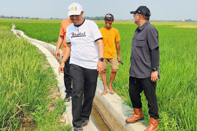 Sekretaris Ditjenbun Heru Tri Widarto bertemu dengan sejumlah poktan di Desa Cigelam, Kecamatan Ciruas, Kabupaten Serang, Minggu (15/9/2024).