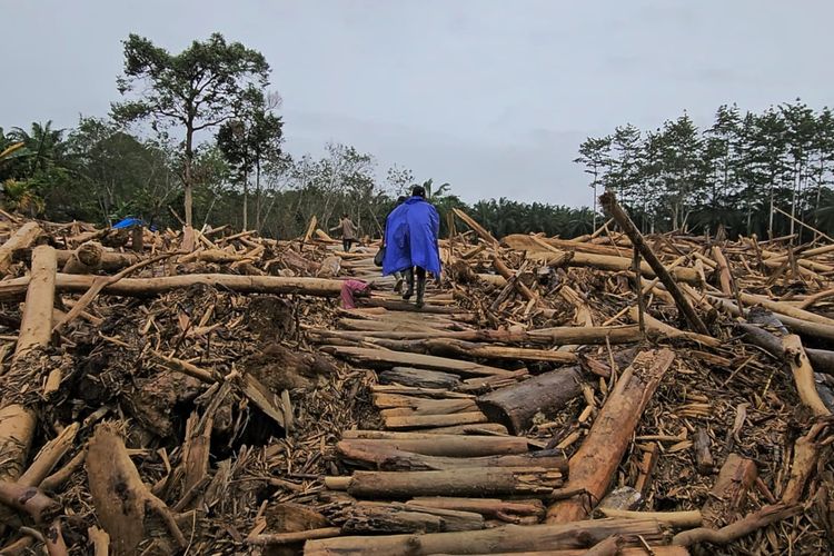 Warga melintas di antara tumpukan kayu yang dipotong dan ditata warga, untuk sampai ke pusat Desa Sekumur, Aceh Tamiang, Selasa (16/12/2025).