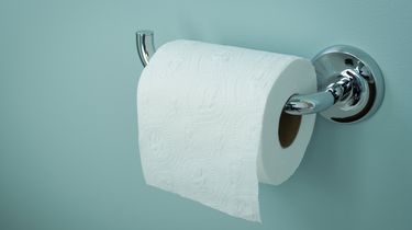 Tisu Toilet Bisa Bikin Saluran Mampet?