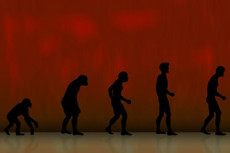 Ilustrasi teori evolusi manusia purba dan teori evolusi Charles Darwin.