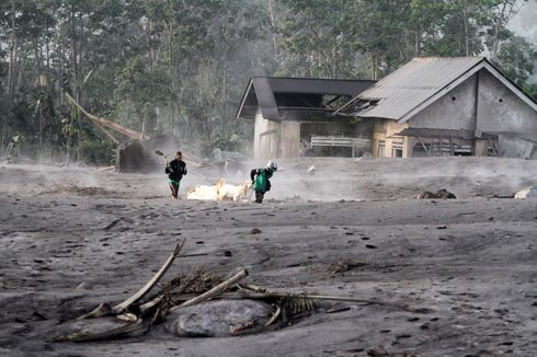 Dusun Kajar Kuning Paling Parah Terdampak Erupsi Semeru, Begini Analisis PVMBG