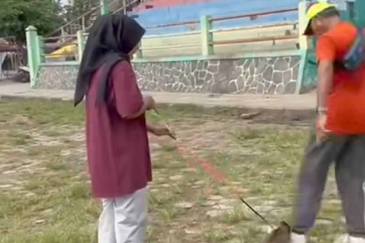 Kucing Blora Tewas Disiksa: Bom Waktu Intoleransi di Balik Kehidupan Bertetangga