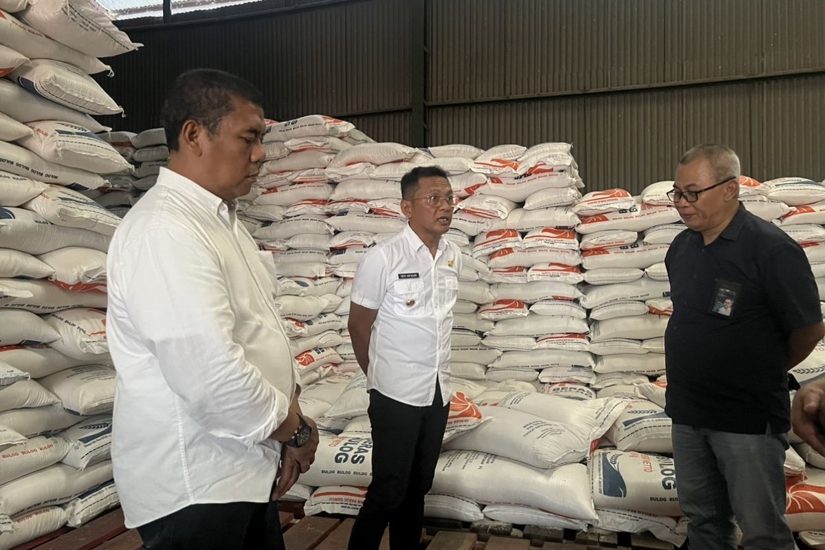 Penjabat (Pj) wali kota Bogor Hery Antasari meninjau ketersediaan beras di Gudang beras Bulog Dramaga, Kota Bogor, Rabu (12/6/2024).