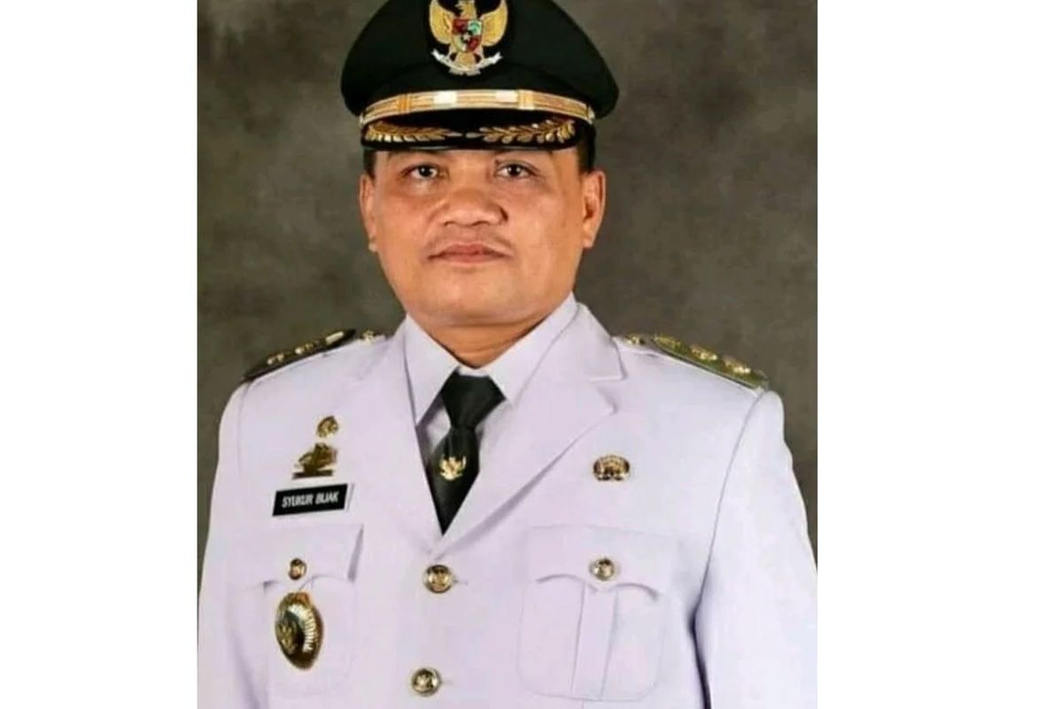 Wakil Bupati Luwu, Syukur Bijak