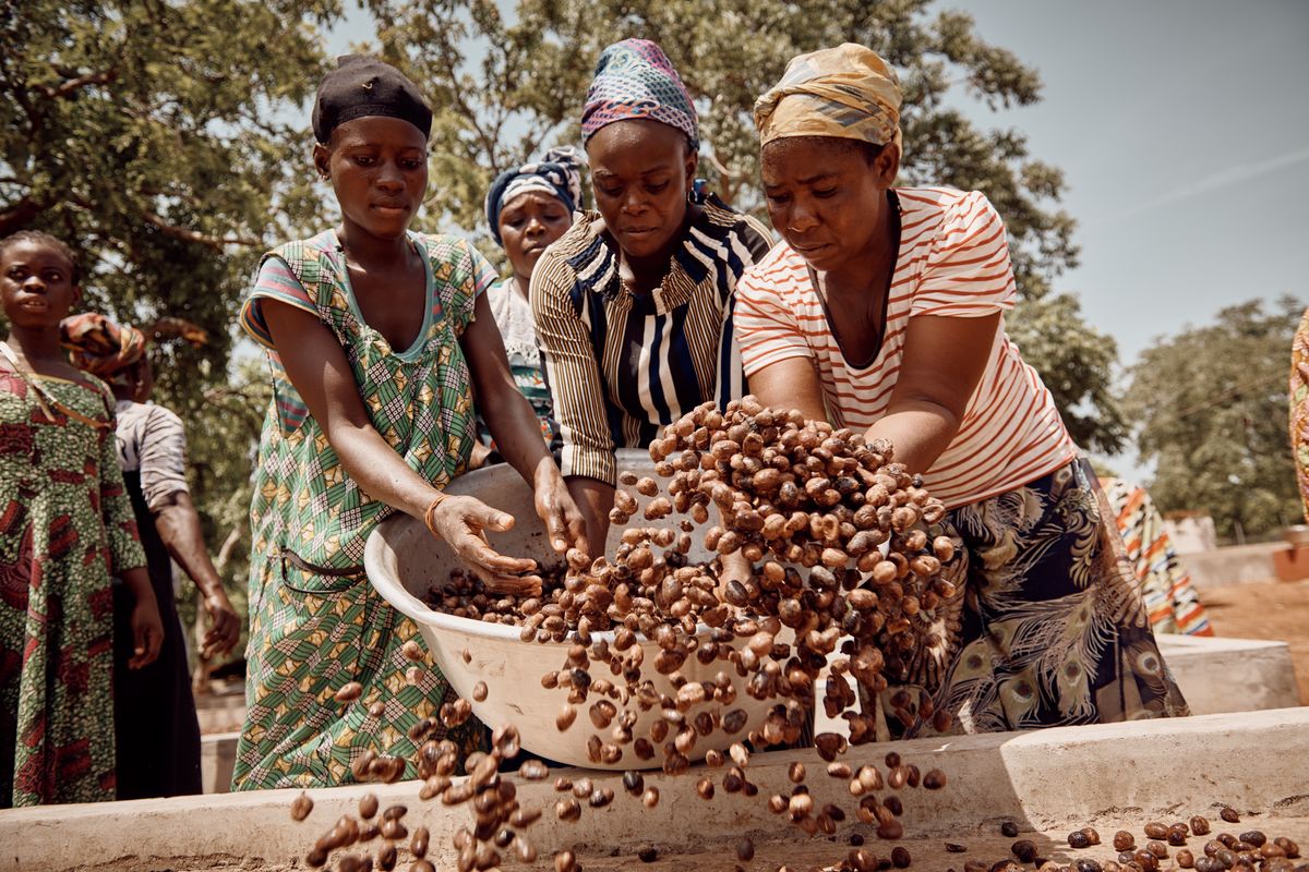 Perempuan di Afrika mengolah biji shea untuk dijadikan shea butter