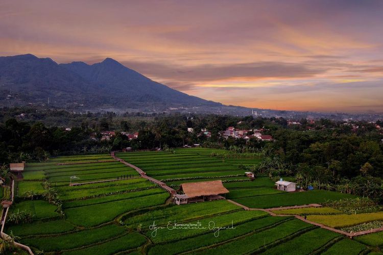 Tempat wisata bernama Kampung Tematik Mulyaharja di Kota Bogor, Jawa Barat (dok. Kampung Tematik Mulyaharja).