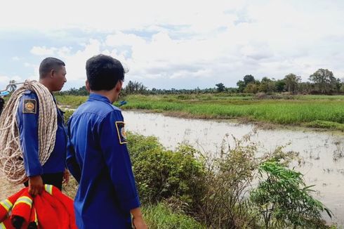 Diburu, Buaya yang Serang Warga di Lampung Selatan