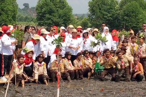 Iriana Jokowi: Siapapun yang Merusak Hutan Bakau Harus Ditindak Tegas