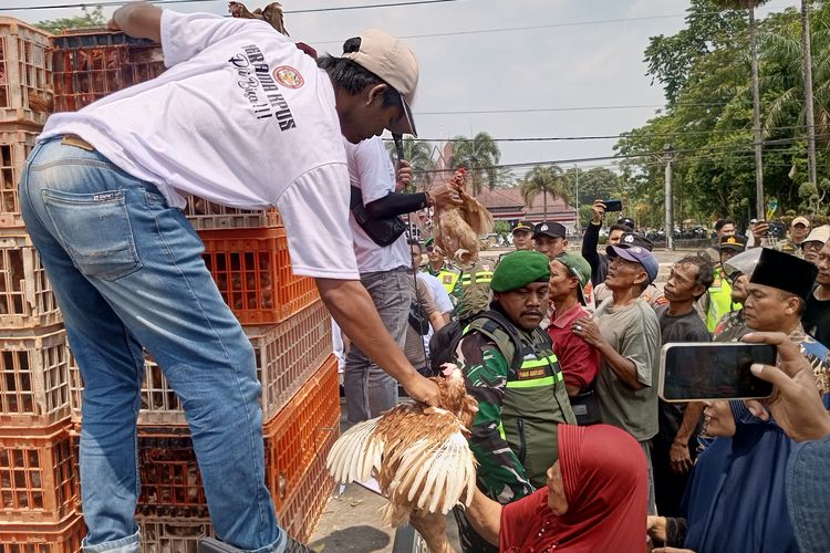 Peternak Pekalongan Minta Dapur MBG Serap Telur Lokal: Jangan ke Bos-bos Besar, Tamat Kita
