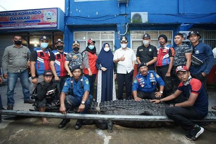 Buaya yang diamankan petugas ini memiliki panjang 5,2 meter dengan bobot badan sekitar 700 kilogram.