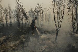 Brasil Kirim Cairan Pemadam Karhutla ke Indonesia, Diuji Coba di Kalimantan dan Sumatera