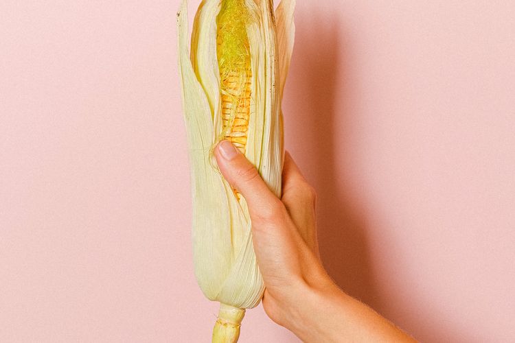 Ilustrasi tongkol jagung