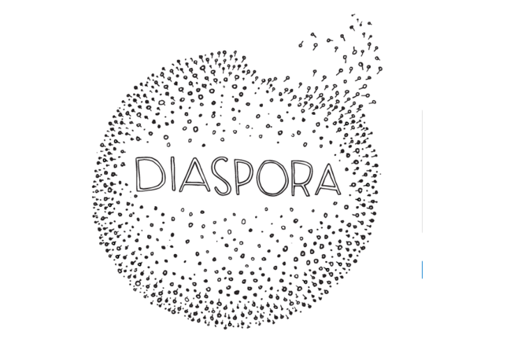 Platform Diaspora*
