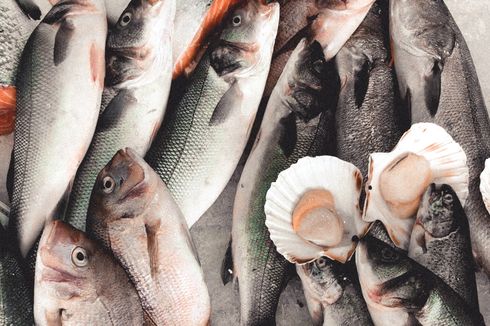 Perhatikan Waktu Penyimpanan Ikan di Kulkas agar Tetap Segar